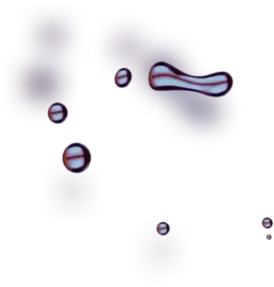 TraderApp Evex 5.3 - Maximize Your Returns with Oil Profit It is Time to Make Your Trade